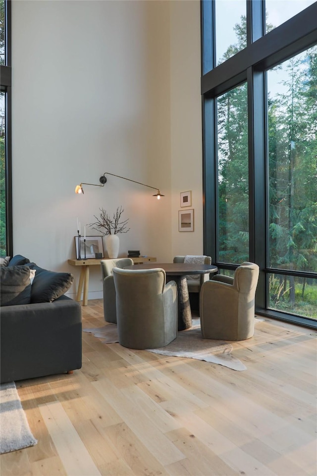 living area with a healthy amount of sunlight, expansive windows, wood finished floors, and a towering ceiling