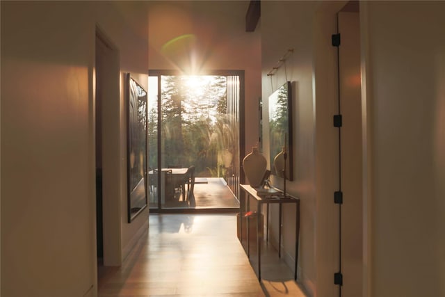 doorway with light wood finished floors