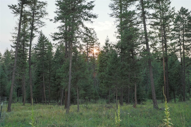 view of landscape featuring a view of trees