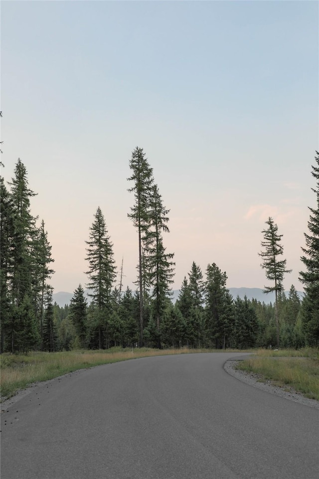 view of road featuring a view of trees