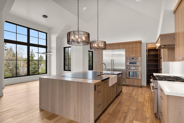 kitchen featuring high end appliances, high vaulted ceiling, light wood-type flooring, a chandelier, and a sink