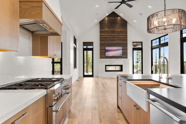 kitchen with appliances with stainless steel finishes, a sink, high vaulted ceiling, premium range hood, and modern cabinets