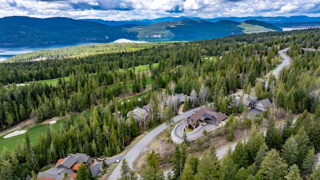 bird's eye view featuring a water and mountain view and a forest view