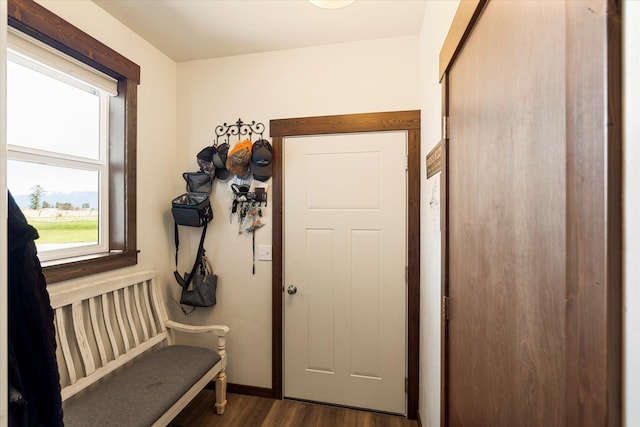 entryway featuring baseboards and dark wood-style floors