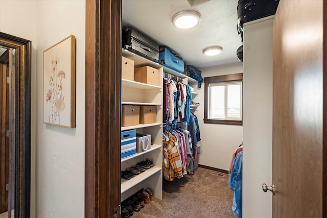 spacious closet featuring carpet flooring