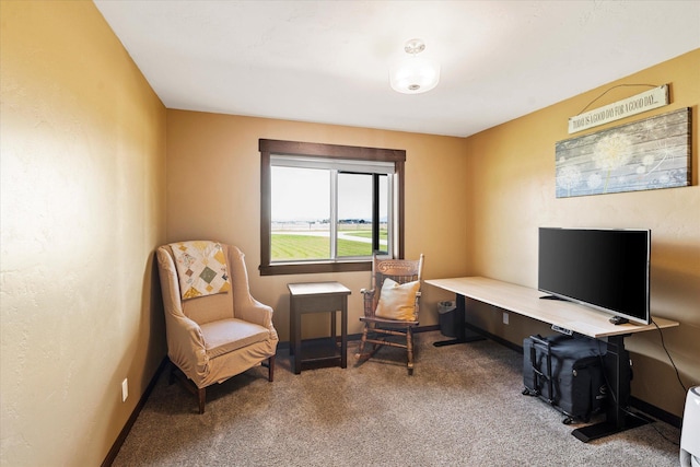 living area with carpet floors and baseboards