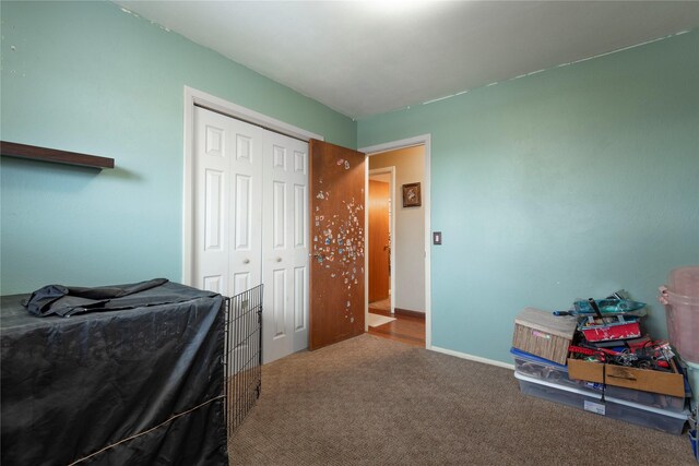 bedroom featuring carpet flooring and a closet