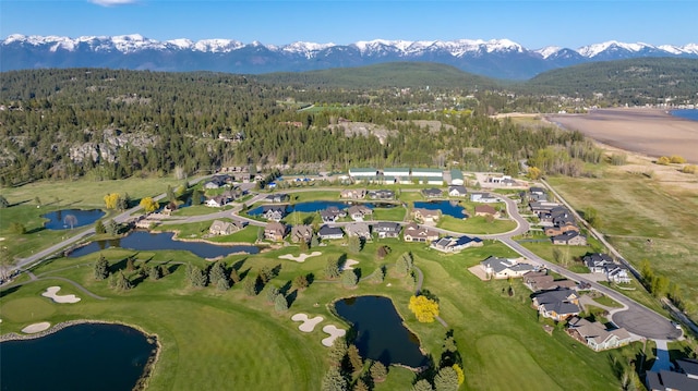1258 Lake Pointe Dr, Bigfork, MT 59911