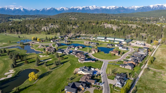 1258 Lake Pointe Dr, Bigfork, MT 59911