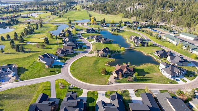 1258 Lake Pointe Dr, Bigfork, MT 59911