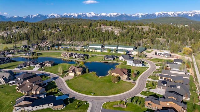1258 Lake Pointe Dr, Bigfork, MT 59911