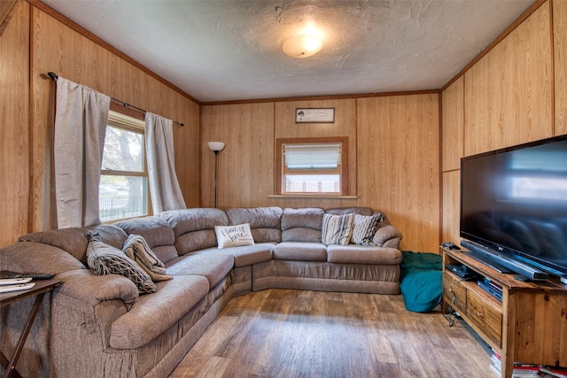 308 S 4th St, Hamilton, MT 59840 - living room featuring wood walls and wood finished floors