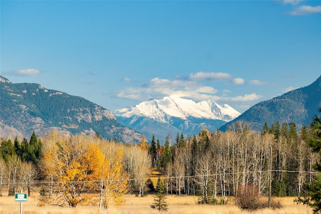 736 Cottonwood Ct, Whitefish, MT 59937 - view of mountain backdrop featuring a heavily wooded area