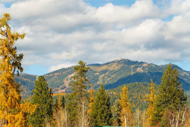 736 Cottonwood Ct, Whitefish, MT 59937 - view of mountain backdrop featuring a heavily wooded area