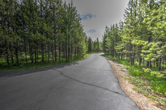 view of street with a forest view