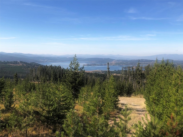 676 Ore Loop, Anaconda, MT 59711