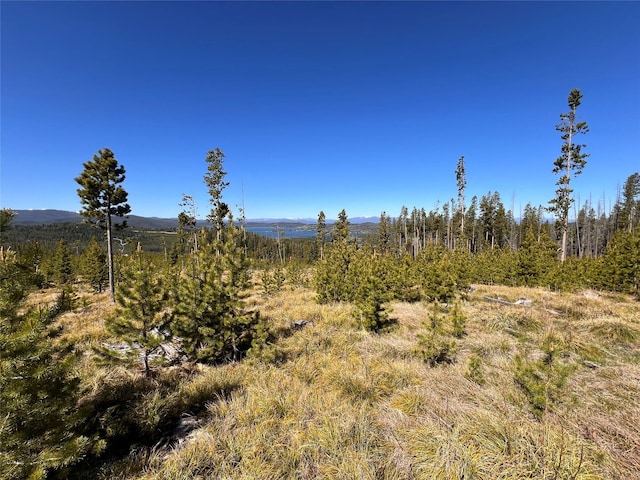 676 Ore Loop, Anaconda, MT 59711