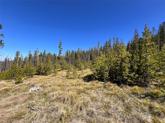 676 Ore Loop, Anaconda, MT 59711