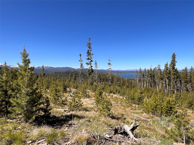 676 Ore Loop, Anaconda, MT 59711