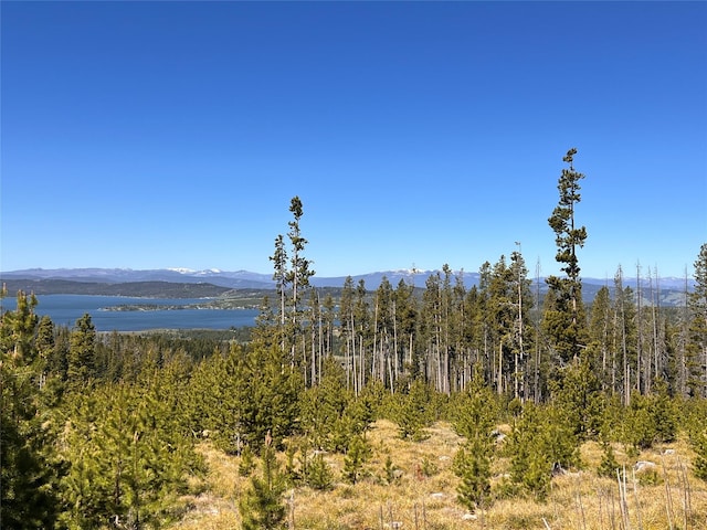 676 Ore Loop, Anaconda, MT 59711