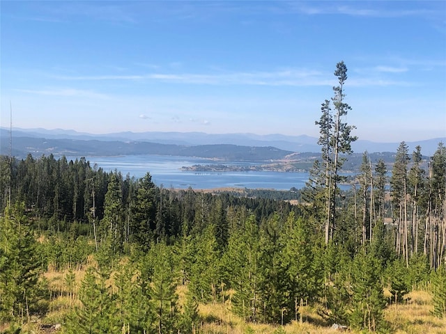 676 Ore Loop, Anaconda, MT 59711
