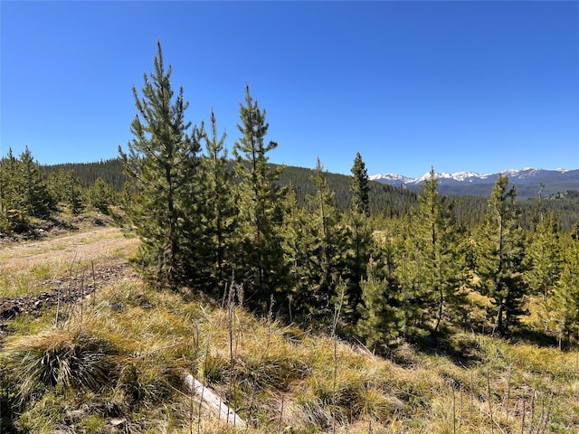 676 Ore Loop, Anaconda, MT 59711