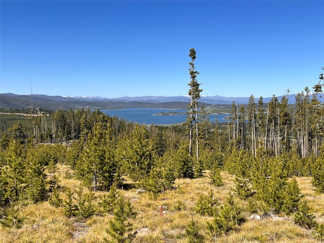 676 Ore Loop, Anaconda, MT 59711
