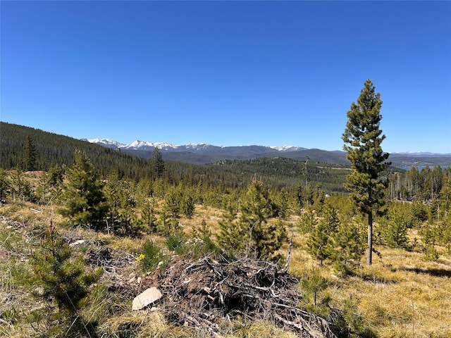 676 Ore Loop, Anaconda, MT 59711