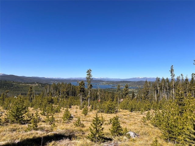 676 Ore Loop, Anaconda, MT 59711