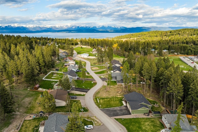 drone / aerial view with a residential view, a mountain view, and a wooded view