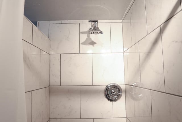 2060 Schilling St, Missoula, MT 59801 - room details with a tile shower