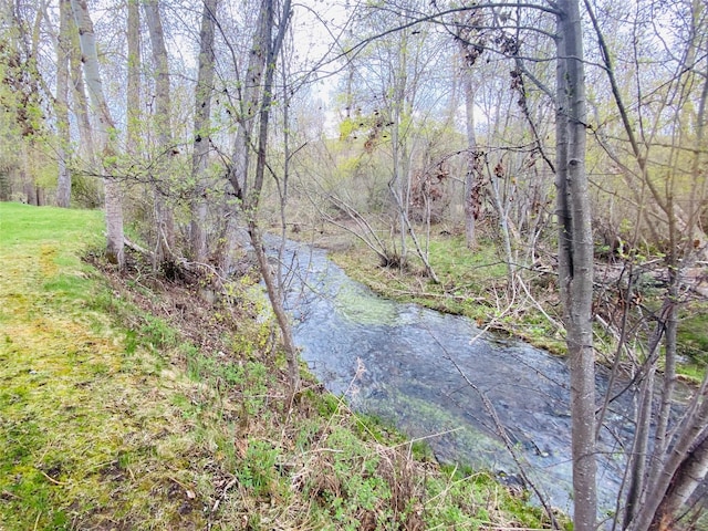 7 Brookside, Missoula, MT 59802 - view of water feature