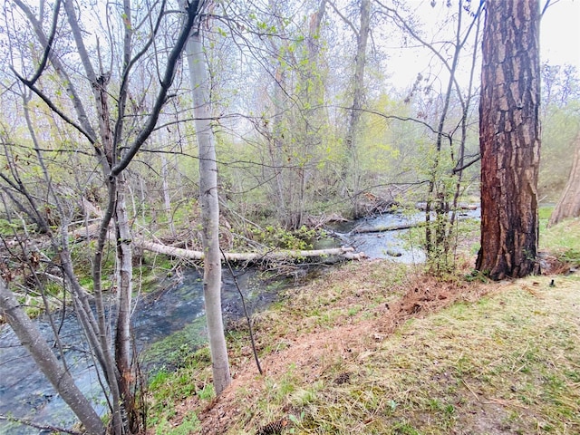 7 Brookside, Missoula, MT 59802 - property view of water