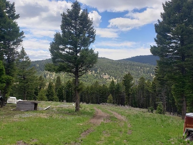 513 Spruce Gulch Rd, Helmville, MT 59843 - mountain view featuring a forest