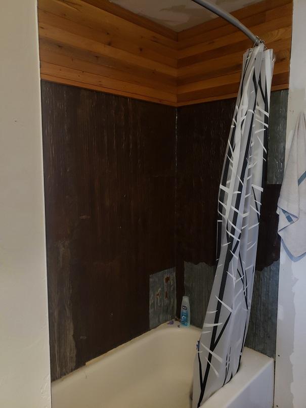 513 Spruce Gulch Rd, Helmville, MT 59843 - full bath featuring shower / tub combo with curtain