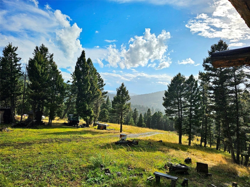 view of mountain feature featuring a wooded view