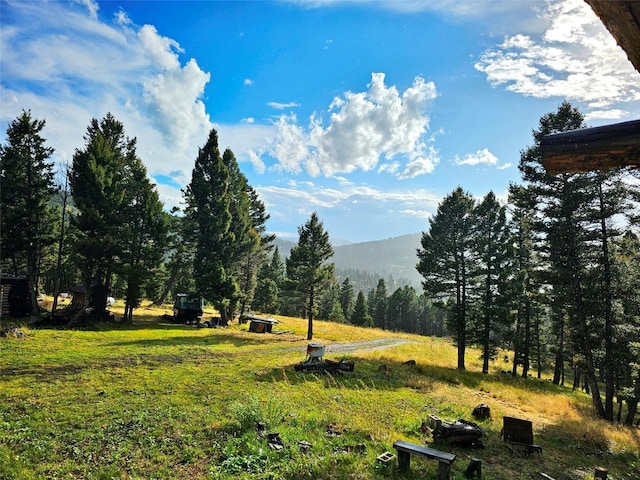 view of mountain feature featuring a wooded view
