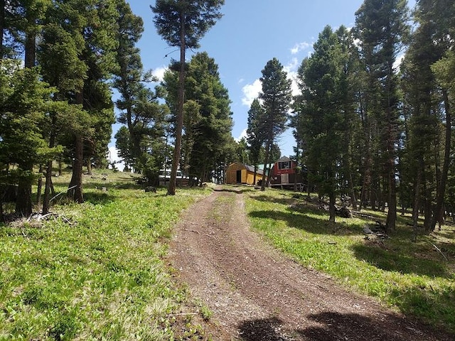 513 Spruce Gulch Rd, Helmville, MT 59843 - view of dirt / gravel driveway