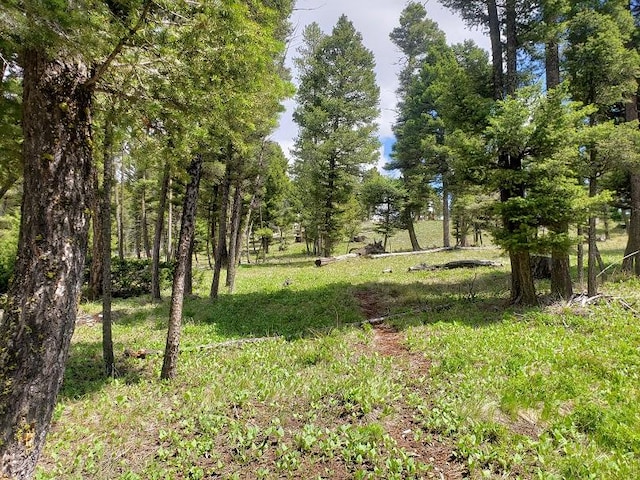 513 Spruce Gulch Rd, Helmville, MT 59843 - view of nature