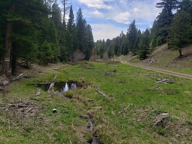 513 Spruce Gulch Rd, Helmville, MT 59843 - view of yard with a forest view