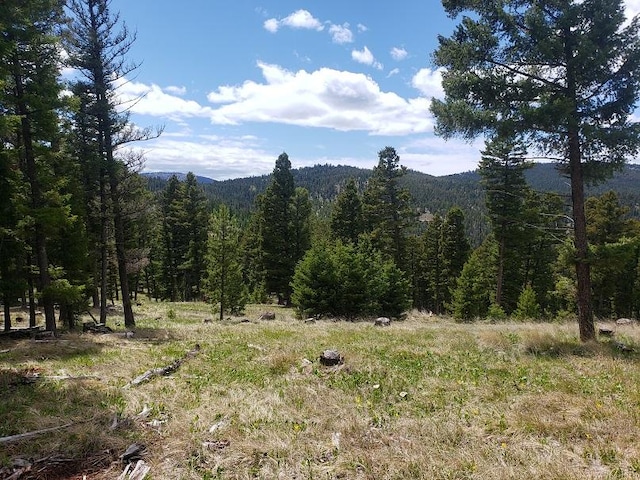 513 Spruce Gulch Rd, Helmville, MT 59843 - view of mountain background featuring a heavily wooded area