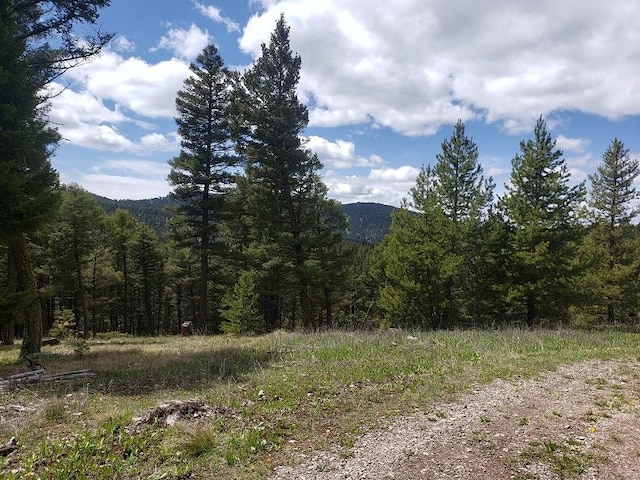 513 Spruce Gulch Rd, Helmville, MT 59843 - mountain view featuring a forest