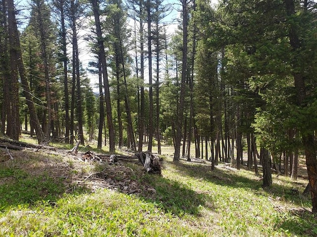 513 Spruce Gulch Rd, Helmville, MT 59843 - view of woods