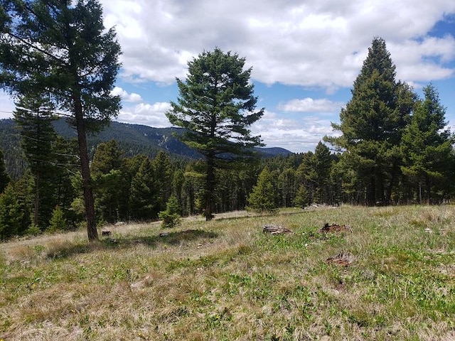 513 Spruce Gulch Rd, Helmville, MT 59843 - view of mountain backdrop featuring a heavily wooded area