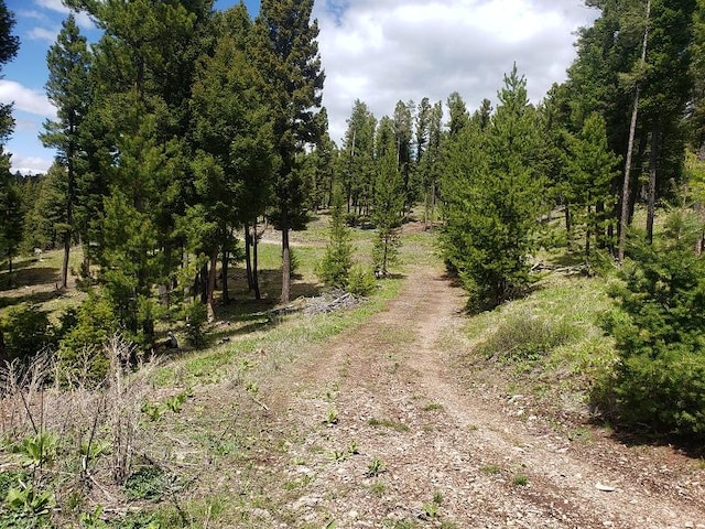 513 Spruce Gulch Rd, Helmville, MT 59843 - view of undeveloped land