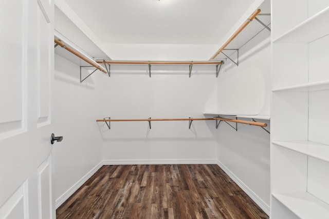 spacious closet with dark wood-style flooring