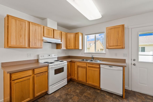 kitchen featuring white appliances, under cabinet range hood, a healthy amount of sunlight, and a sink