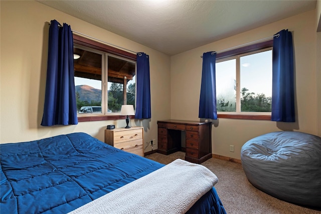 85 Martin Ln, Florence, MT 59833 - carpeted bedroom featuring baseboards