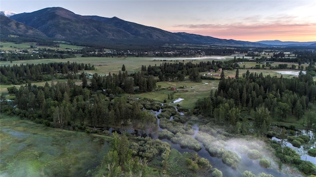 85 Martin Ln, Florence, MT 59833 - mountain view