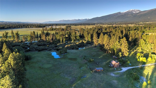 birds eye view of property with a mountain view and a rural view